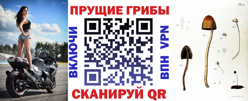 Купить закладки  Киреевск  Галлюциногенные грибы мухоморы 